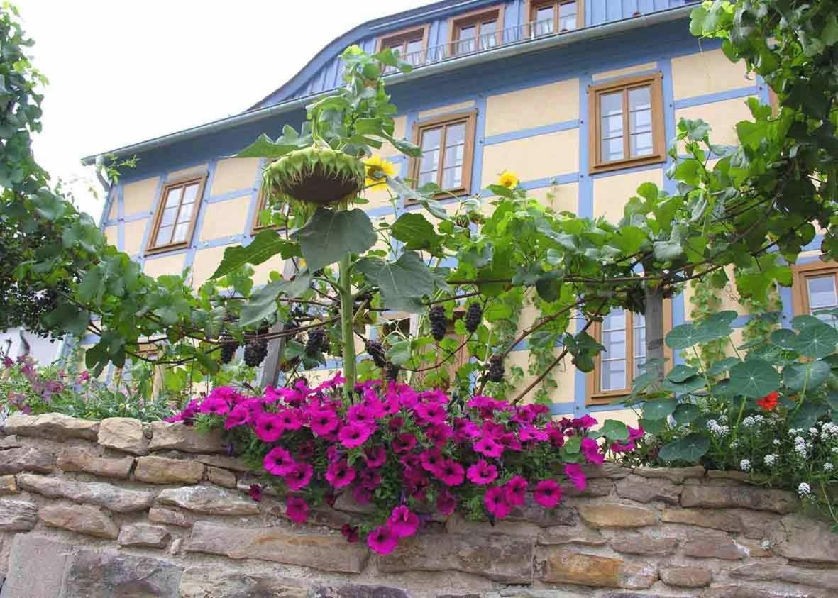 In Der Alten Weinstube Фрайталь Экстерьер фото